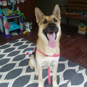 Meet your Posher, Aubrey